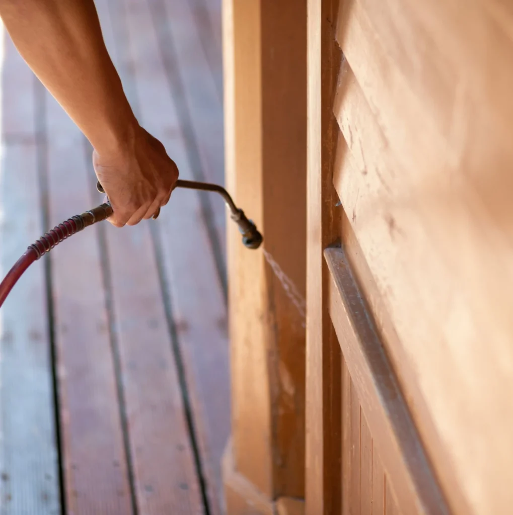 Trusted Pest Control - Islip Pest Control Pros | Islip, NY | 631-600-8760